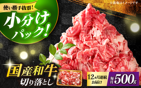 【全12回定期便】【和牛の旨味を堪能！】博多和牛切り落とし500g 牛肉 肉 [ABBP044] 