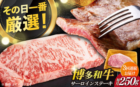 【全3回定期便】【厳選部位使用！】博多和牛A4以上サーロインステーキ250g×1枚 牛肉 肉 [ABBP045] 
