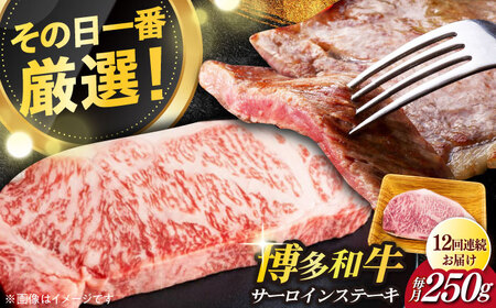【全12回定期便】【厳選部位使用！】博多和牛A4以上サーロインステーキ250g×1枚 牛肉 肉 [ABBP047] 
