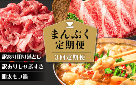 【3回定期便】【大人数のご家庭に】まんぷく定期便 [ABBP113] 