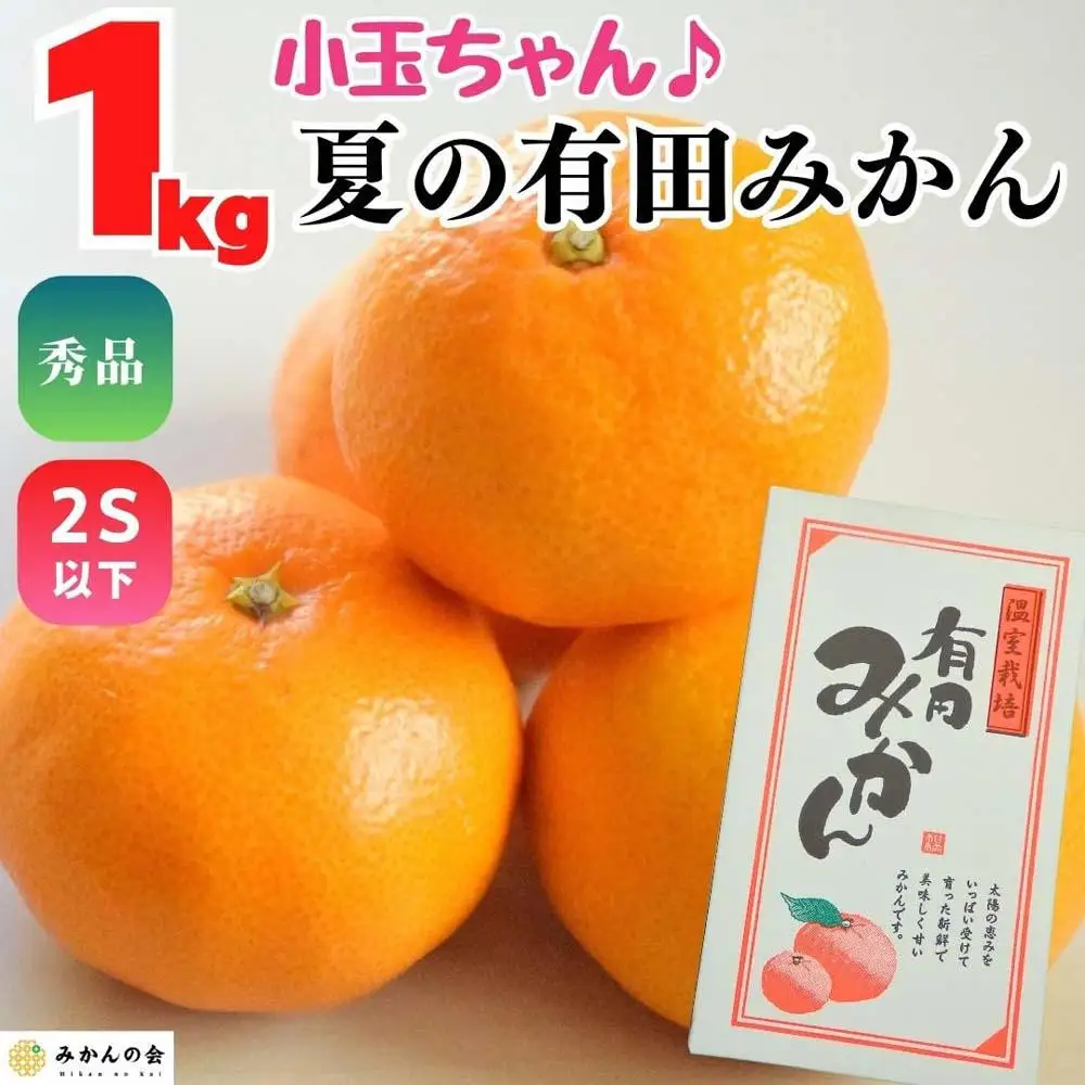【5月出荷予定】小玉ちゃん ハウスみかん 温室栽培 夏の有田みかん 1kg 秀品 2Sサイズ以下 和歌山県 産地直送 みかんの会
