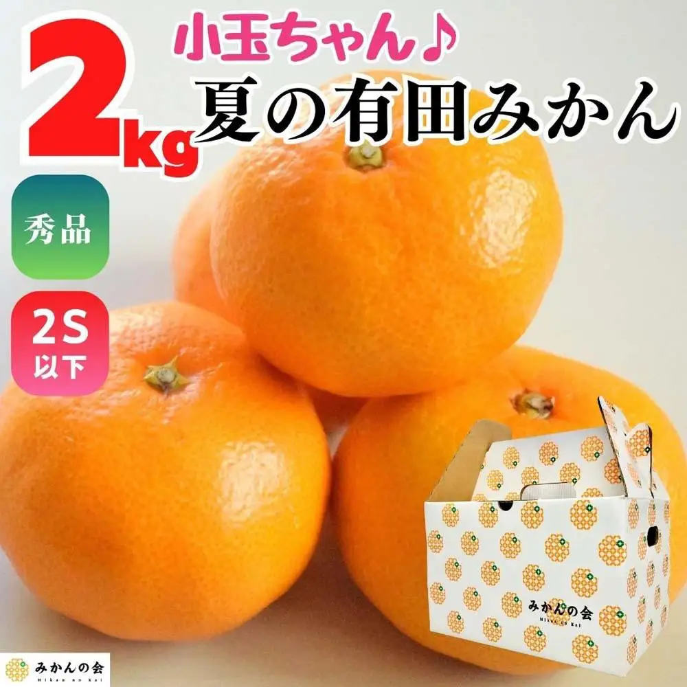 【5月出荷予定】小玉ちゃん ハウスみかん 温室栽培 夏の有田みかん 2kg 秀品 2Sサイズ以下 和歌山県 産地直送 みかんの会
