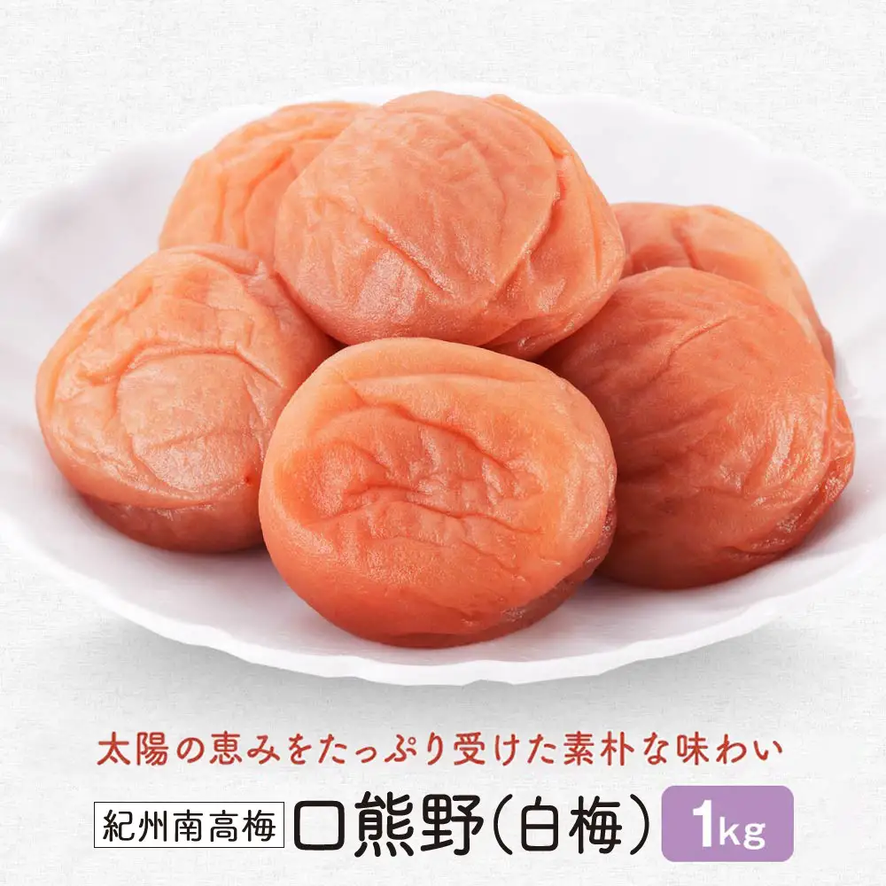 紀州南高梅　口熊野（白梅）1kg 塩分約22％