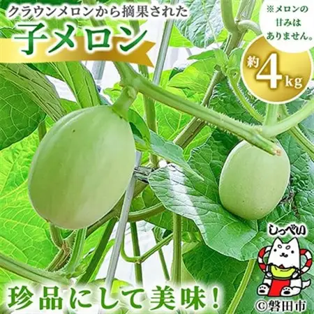 クラウンメロンの子メロン　約4kg_子メロン 摘果メロン 摘果 メロン めろん クラウンメロン 約4kg 漬け物 漬物 お漬物 つけもの 浅漬け サラダ 青果 果物 くだもの フルーツ 産直 産地直送 静岡県 送料無料_【1416447】