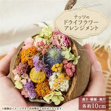 ナッツのドライフラワーアレンジメント_花・観葉植物  花 _【1418477】