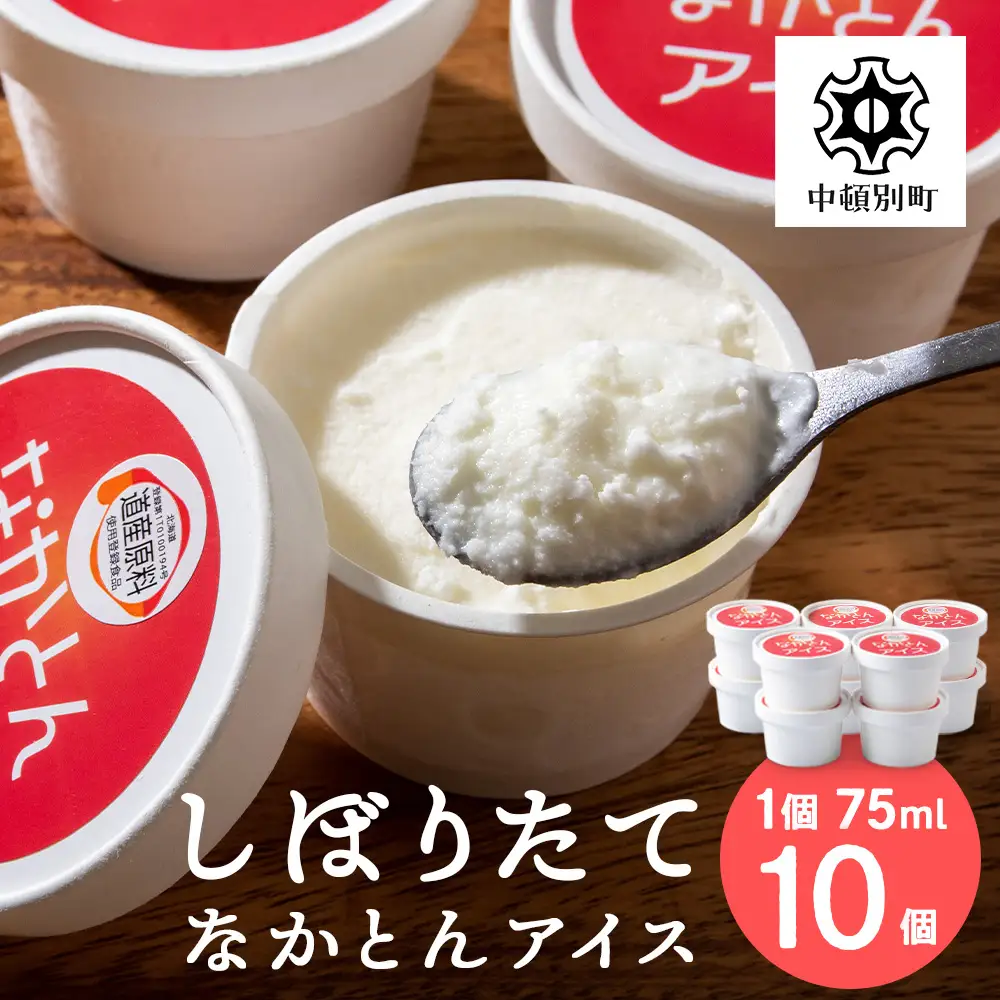 アイス セット アイスクリーム 10個