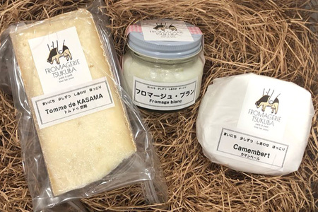 毎日ちょこっと しあわせ チーズ　FROMAGERIEつくばのおすすめ３点セット IR-001
