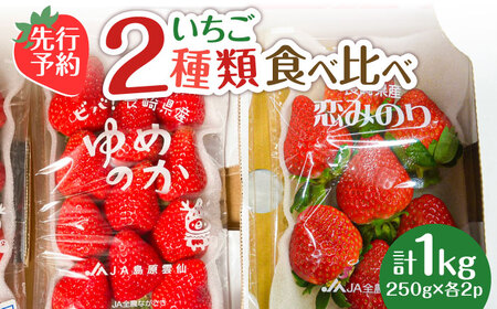 【2027年1月-発送】いちご2種類 食べ比べ 約250g×4P [SAC006] いちご
