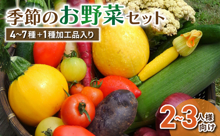 【アグロノーム】季節のお野菜セット（２～３人様向け）※2024年7月以降発送開始