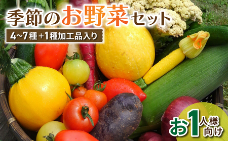 【アグロノーム】お一人様向け、お試し季節のお野菜セット※2024年7月以降発送開始