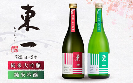 日本酒 東一 日本酒飲み比べ2種 NBQ020 