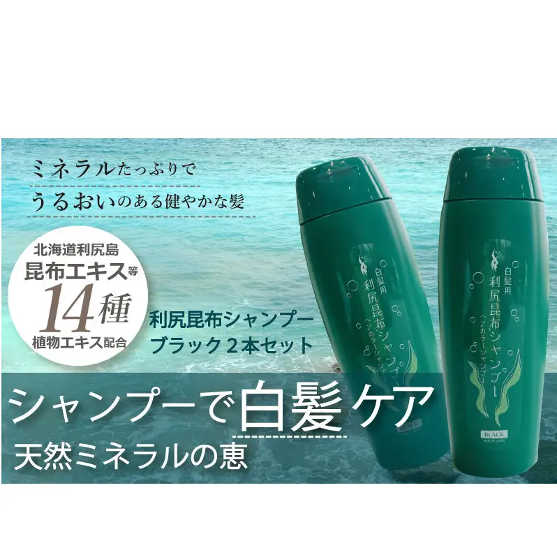 利尻昆布 ヘアカラー シャンプー ブラック 2本セット