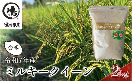 最短出荷 2日から7日以内に発送  米 令和7年 ミルキークイーン 2kg  千葉産 白米　【お米 粘り もっちり おにぎり お弁当】 ミルキークイーン こめ コメ おこめ 