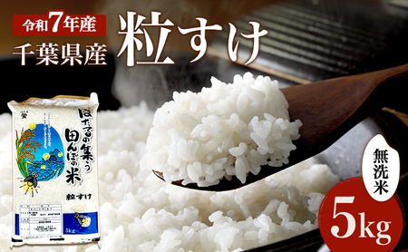 最短出荷 2日から7日以内に発送 無洗米 粒すけ 5kg 米 精米 白米 お米 おこめ コメ 単一原料米 新品種 お米マイスター  ご飯 千葉市
