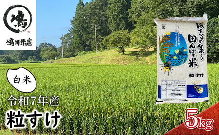 最短出荷 2日から7日以内に発送 令和7年 粒すけ 5kg 千葉産 白米　【 お米 こめ コメ おこめ 】 
