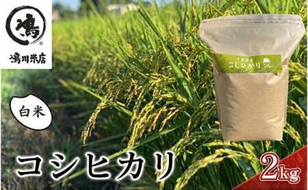 最短出荷 2日から7日以内に発送 千葉産 コシヒカリ 白米 2kg　【 お米 コシヒカリ 米 白米 2kg 】 
