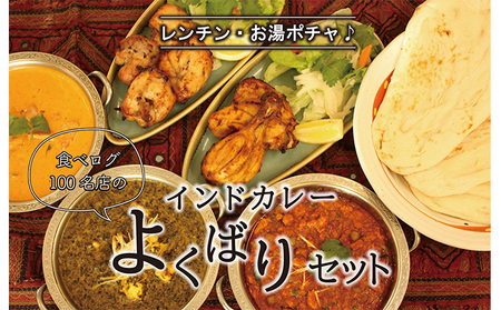 印度料理シタール インドカレーよくばりセット【カレー 加工食品 レトルト食品】 惣菜 簡単調理 