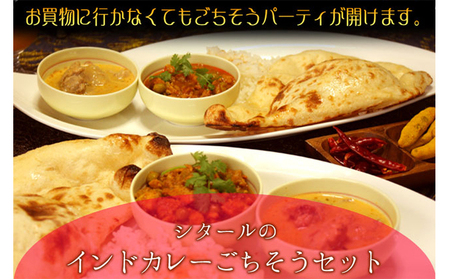 印度料理シタール インドカレー中ごちそうセット【カレー 加工食品 レトルト食品】 惣菜 お手軽 簡単調理 ナン 