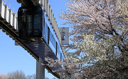 貸切列車（お手軽プラン）【 体験チケット 貸切列車 チケット モノレール 】 