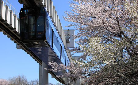 貸切列車（基本プラン）【 体験チケット 貸切列車 チケット モノレール 】 