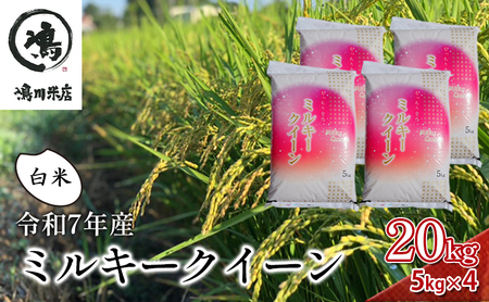 最短出荷 2日から7日以内に発送  米 令和7年 ミルキークイーン 20kg ( 5kg × 4 ) 千葉産 白米　【 お米 ミルキークイーン こめ コメ おこめ 】 