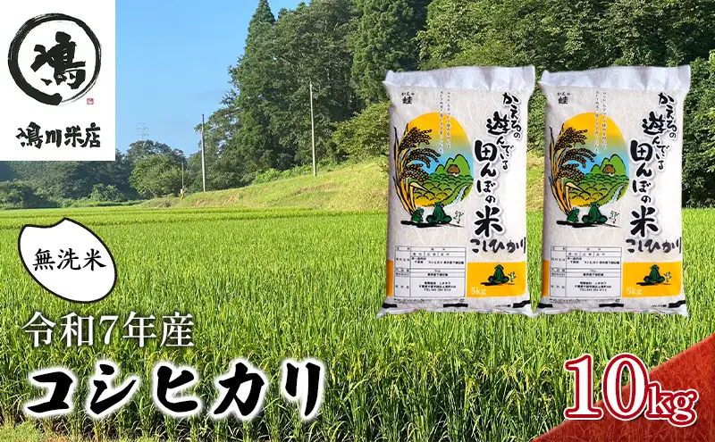 最短出荷 2日から7日以内に発送 令和7年 コシヒカリ　無洗米　10kg お米 精米 粘りつやつや 甘み 美味しい 新鮮 