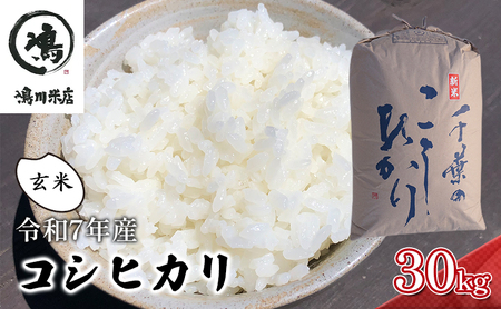最短出荷 2日から7日以内に発送 千葉産　令和7年コシヒカリ　玄米30kg【 お米 粘りつやつや 甘み】 ほんのり甘み 食感 新鮮 