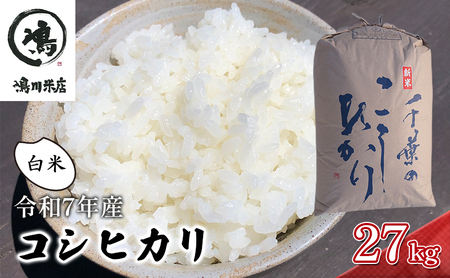 最短出荷 2日から7日以内に発送 千葉産　令和7年コシヒカリ　白米27kg【 お米 粘りつやつや 甘み】 精米 ほんのり甘み 食感 新鮮 