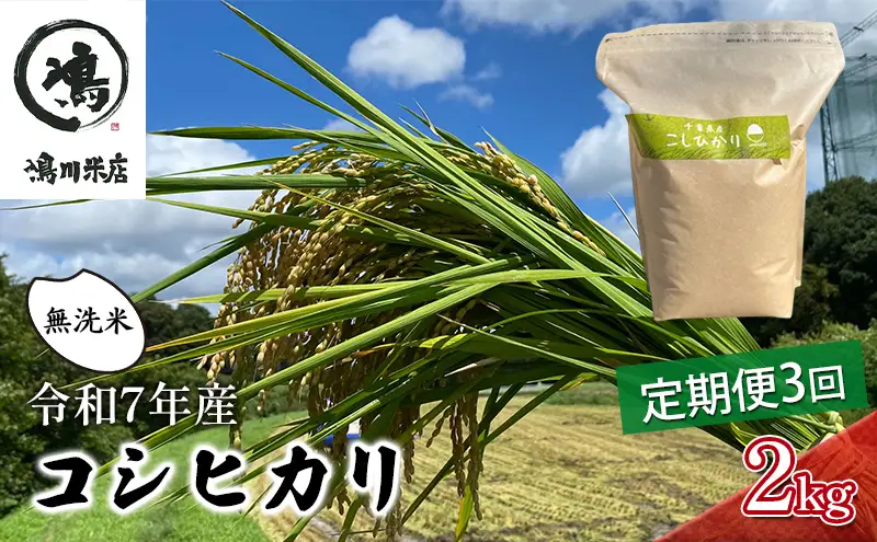 令和7年 3ヶ月定期便　コシヒカリ　無洗米　2kg　【定期便 お米 無洗米 粘り甘み】 精米 粘りつやつや 美味しい 新鮮 