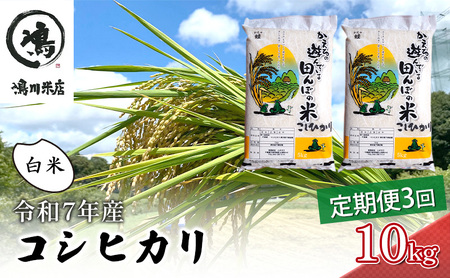 令和7年 3ヶ月定期便　コシヒカリ　白米　10kg（5kg×2）【定期便 お米 白米 粘り甘み】 精米 粘りつやつや 美味しい 新鮮 