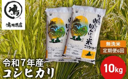 令和7年産　6ヶ月定期便　コシヒカリ　無洗米　10kg【定期便 お米 白米 粘り甘み】 精米 粘りつやつや 美味しい 新鮮 