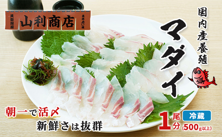 千葉市場直送　朝一活〆！マダイ1尾分（皮付ロイン・スキンレスロイン） 魚貝類 冷蔵 柵 養殖マダイ 新鮮 刺身 切り身 たいの刺身 たいの柵 つまみ 肴 