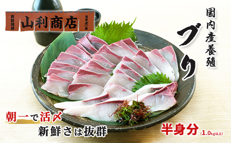 千葉市場直送　朝一活〆！ブリ半身分（スキンレスロイン） 魚貝類 冷蔵 柵 新鮮 刺身 養殖ブリ ぶりしゃぶ 鮮度抜群 脂の旨味 つまみ 肴 