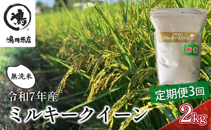 3ヶ月 令和7年 定期便 ミルキークイーン　乾式無洗米　2kg×3ヶ月 お米 精米 ライス ご飯 ブランド米 おにぎり お弁当 和食 産地直送 モチモチ 粘り 冷めてもおいしい 