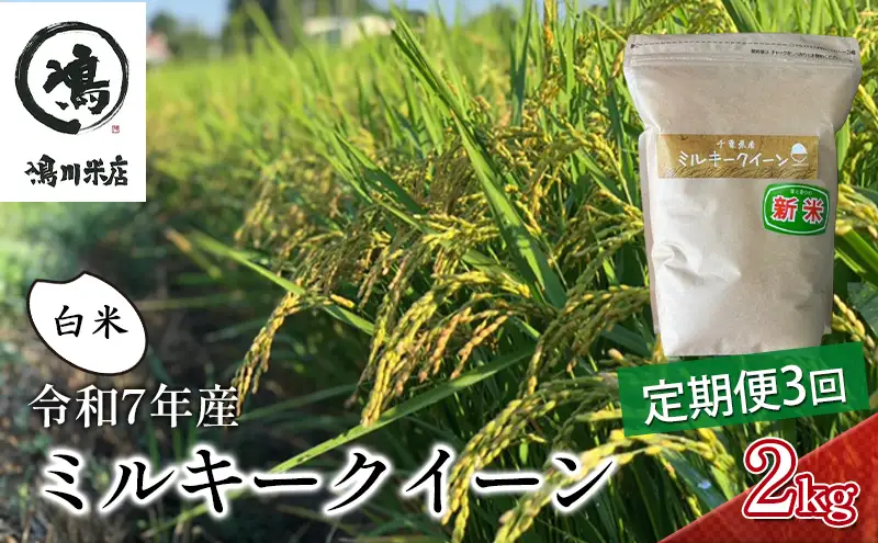 3ヶ月 令和7年 定期便 ミルキークイーン　白米　2kg×3ヶ月 お米 精米 ライス ご飯 ブランド米 おにぎり お弁当 和食 産地直送 モチモチ 粘り 冷めてもおいしい 