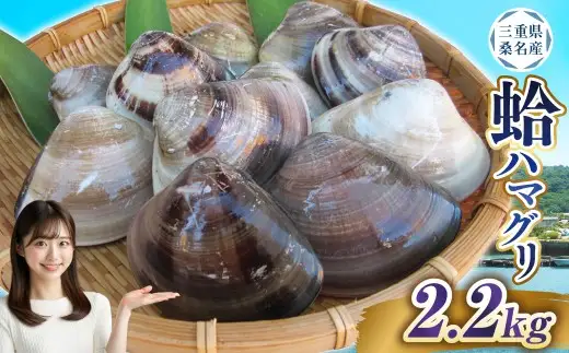 【指定日必須】 丸元水産 桑名産蛤 （ハマグリ） 2.2kg はまぐり ハマグリ 蛤 天然 活 砂抜き済 肉厚 BBQ キャンプ 網焼き 魚介 貝 魚貝 活はまぐり 焼きはま 海鮮 網焼き 酒蒸し お吸い物 パエリア パスタ 桑名 日にち指定  焼きはまぐり 焼き蛤 その手は桑名の焼きはまぐり 特産 【2025年9月下旬から2026年6月下旬発送予定】