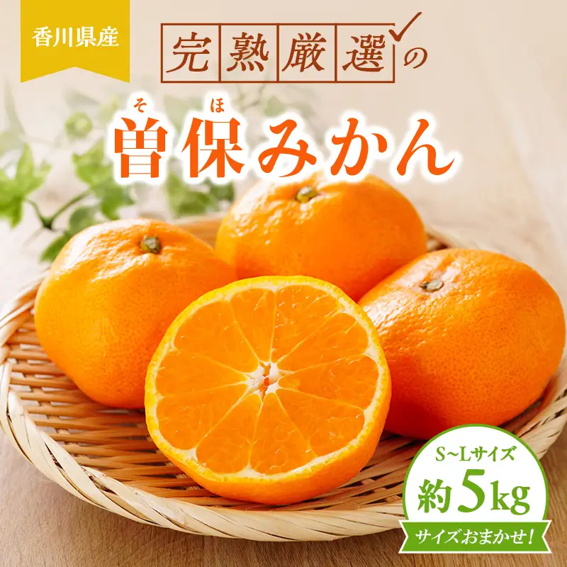 完熟厳選の曽保みかん約5kg FAH-0139