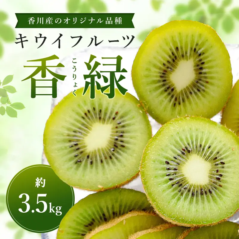 香川産のオリジナル品種キウイフルーツ［香緑］約3.5㎏ FAH-0132