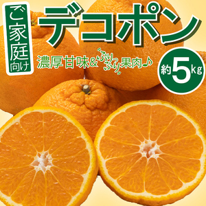 ご家庭向け！濃厚甘味「デコポン」　約5kg FAH-0143