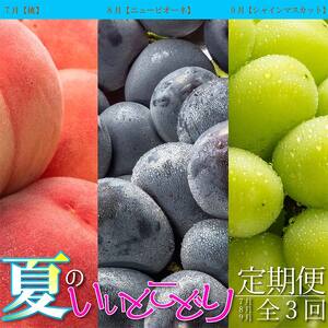 夏のいいとこどり定期便【全3回】 果物 桃 ぶどう フルーツ 果汁 甘い 濃厚 風味 種なし マスカット ジューシー 人気 セット 詰合せ FAH-0064