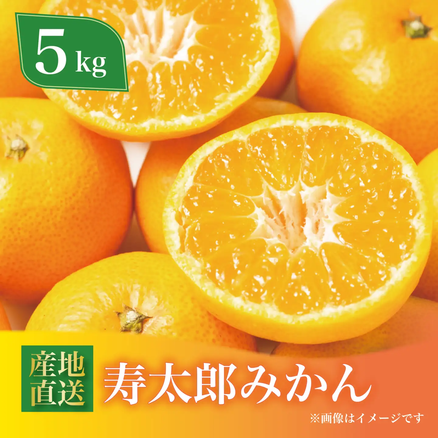 寿太郎みかん 約5kg みかん 蜜柑