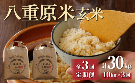 【寄附額改訂↓】令和8年新米予約【3回定期便】八重原米10kg（5kg×2袋）合計30kg 玄米　※2026年10月以降順次発送｜笹屋農園「農薬削減長野県認証取得」先行予約 お米