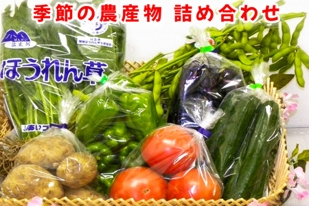 季節の農産物詰め合わせ｜産直 農産物 季節の野菜 やさい 旬の野菜 新鮮 詰合せ [0757]