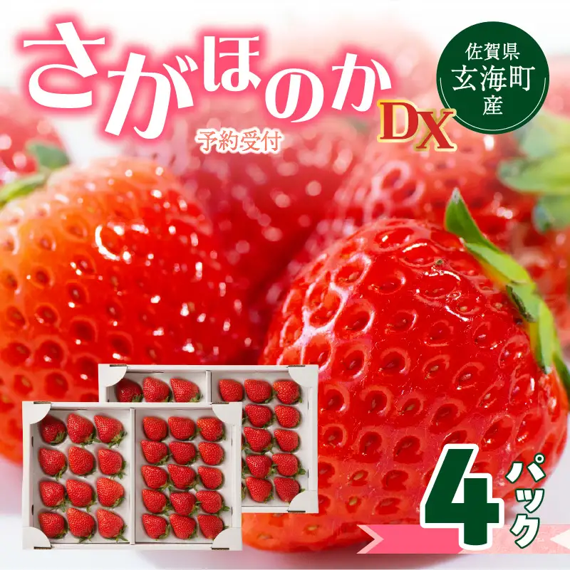 ★予約受付★杉山いちご農園 佐賀県玄海町産いちご「さがほのかDX」／ さがほのか【B159】