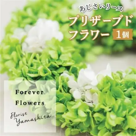 プリザーブドフラワー 紫陽花 グリーン リース【1271162】