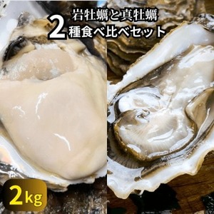 先行予約 篠島の2種の天然殻付きカキ2kg(岩牡蠣&真牡蠣)食べ比べセット 生食用/CAS冷凍