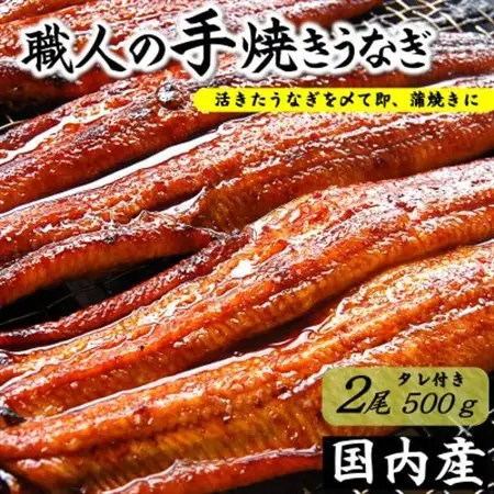 職人の手焼き　活〆うなぎ蒲焼　2尾入り(計500g)　国産【配送不可地域：離島】【1423346】