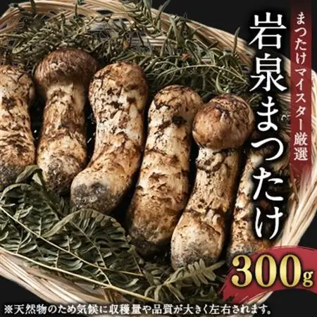【2026秋発送】岩泉まつたけ 300g_野菜 松茸 きのこ まつたけ マツタケ_【配送不可地域：離島】【1421529】
