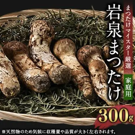 【2026秋発送】【自家用】岩泉まつたけ 300g_野菜 松茸 きのこ まつたけ マツタケ_【配送不可地域：離島】【1421549】