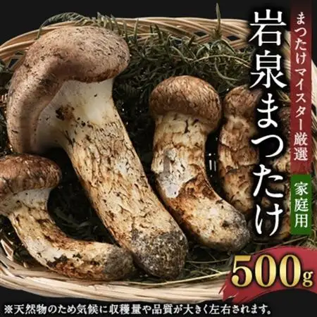 【2026秋発送】【自家用】岩泉まつたけ 500g_野菜 松茸 きのこ まつたけ マツタケ_【配送不可地域：離島】【1421552】